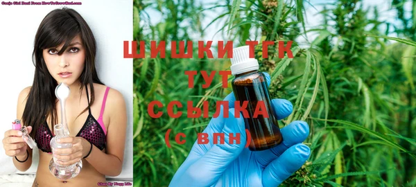 индика Болохово