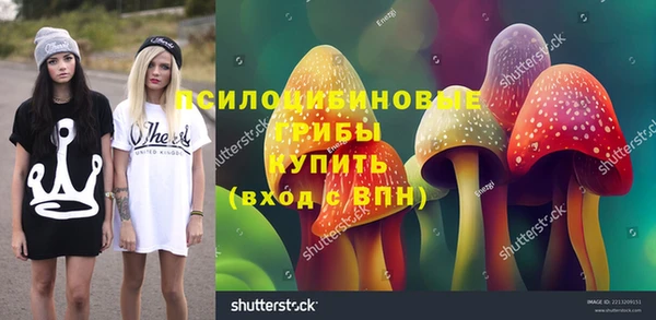 индика Болотное