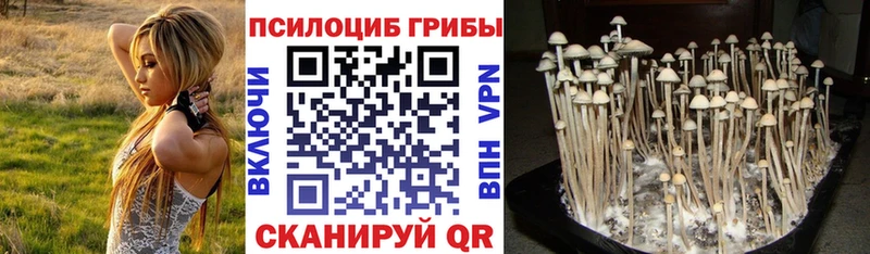 Галлюциногенные грибы Cubensis  Мантурово 